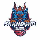 陕西天泽女篮 陕西天泽女篮