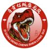 绵阳队 绵阳队